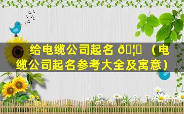 给电缆公司起名 🦊 （电缆公司起名参考大全及寓意）